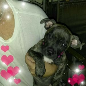 Meet your Posher, Julia ann